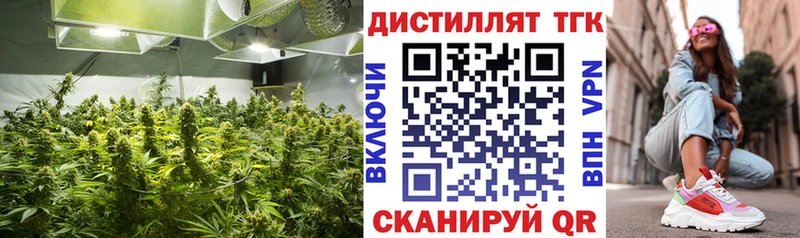 купить наркоту  даркнет официальный сайт  ТГК вейп  Шарья 
