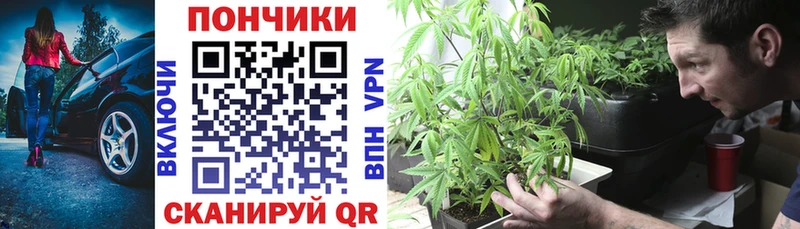mega зеркало  Шарья  Канабис Bruce Banner 